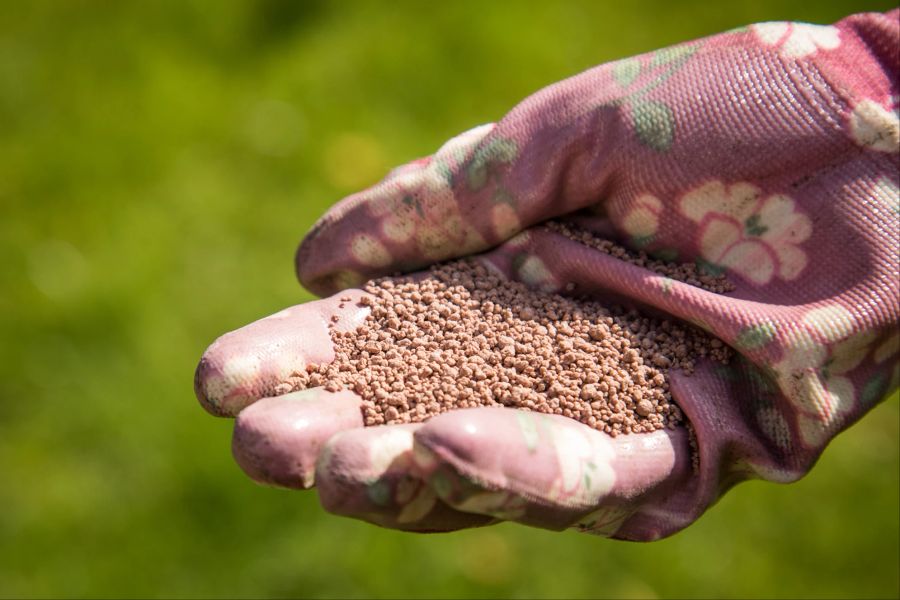 Hand Dünger Granulat Gartenhandschuh