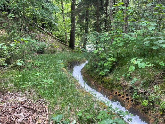 Ort wo der Junge in den Trochenbach fiel Trochenbach