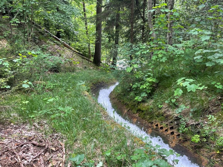 Trochenbach