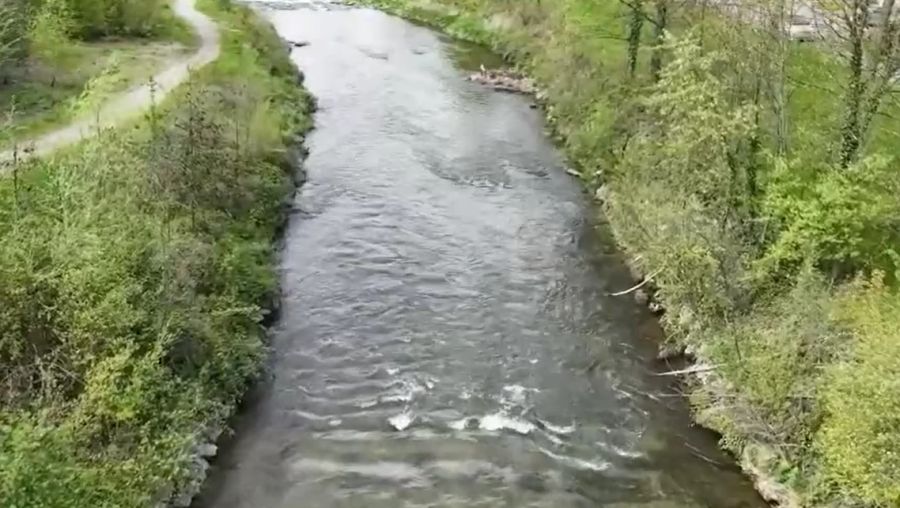 Und auch die Murg im Thurgau führt normalerweise deutlich mehr Wasser.