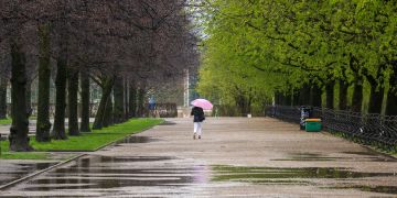 wetter