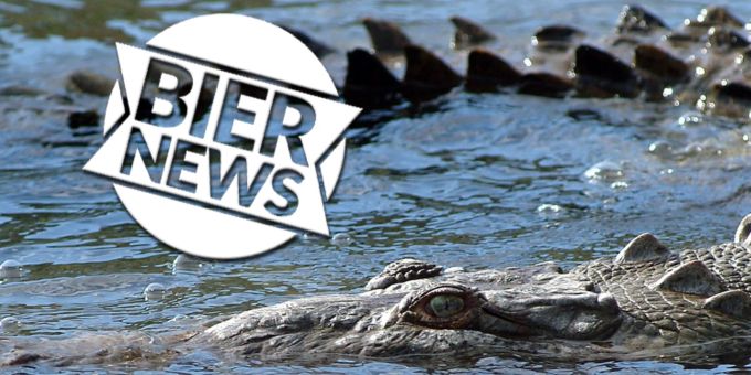 Forscher rätseln - Ohne Befruchtung: Krokodil schwängert sich selbst