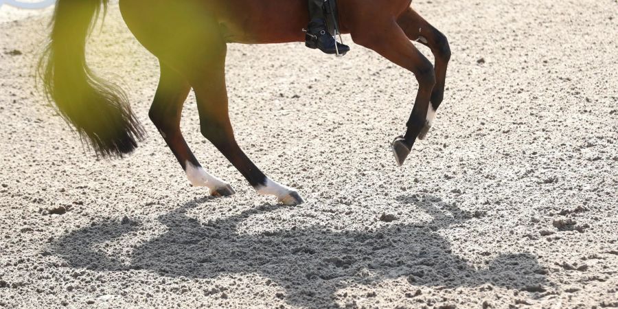 Der Reitsport-Weltverband lässt weiterhin keine Russen und Belarussen bei Wettkämpfen zu.
