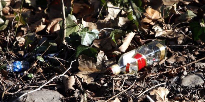Littering - Abfall im Wald bereitet vielen Schweizern Sorgen