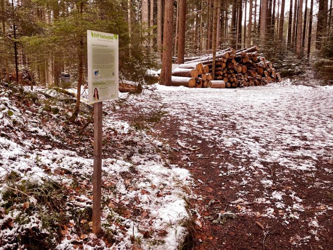 Die Natur entdecken und eine andere Perspektive auf die Umwelt erhalten - das sollen Spaziergänger auf dem SVP Naturpfad auf dem Ballenbühl in Konolfingen. SVP Naturpfad Ballenbühl Konolfingen