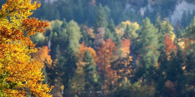Der Herbst kommt! Der Herbst kommt!