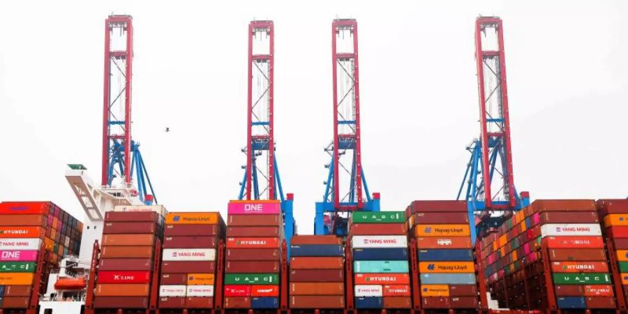 Container mit Waren im Hamburger Hafen: Das Statistische Bundesamt hat neue Exportzahlen veröffentlicht. Foto: Christian Charisius/dpa