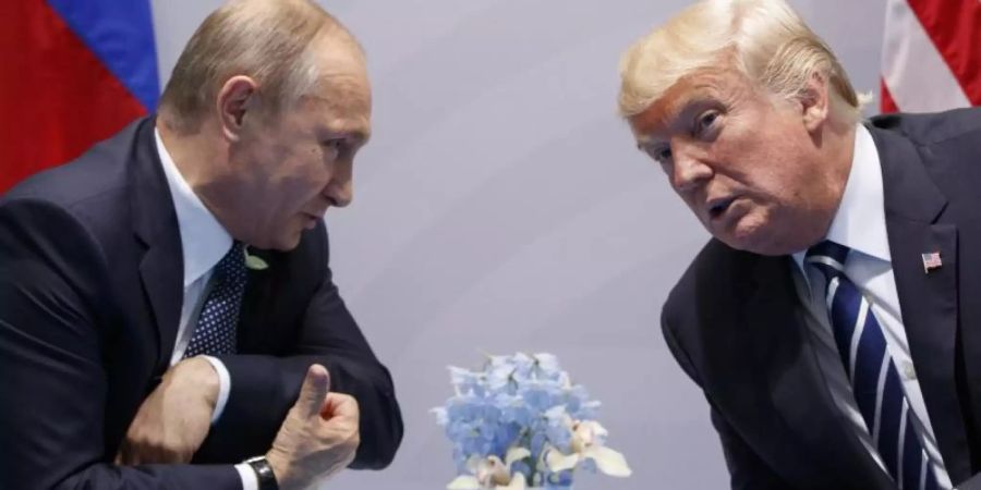 Wladimir Putin und Donald Trump unterhalten sich 2017 auf dem G20-Gipfel in Hamburg. Foto: Evan Vucci/AP/dpa