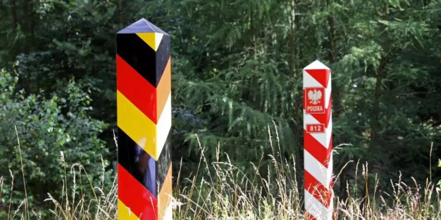 Wenige Kilometer von der deutsch-polnischen Grenze im Spree-Neisse-Kreis ist ein Wildschwein-Kadaver gefunden worden. Foto: Bernd Wüstneck/dpa-Zentralbild/dpa