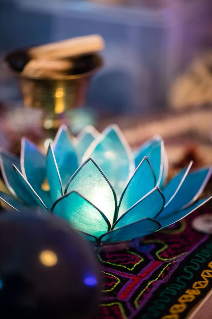 Im Einklang mit dem Licht Blume im Kosmos
