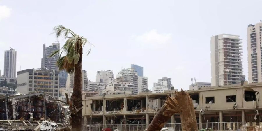 Blick auf zerstörte Gebäude nach einer Explosion im Hafen von Beirut. Foto: Thibault Camus/AP/dpa