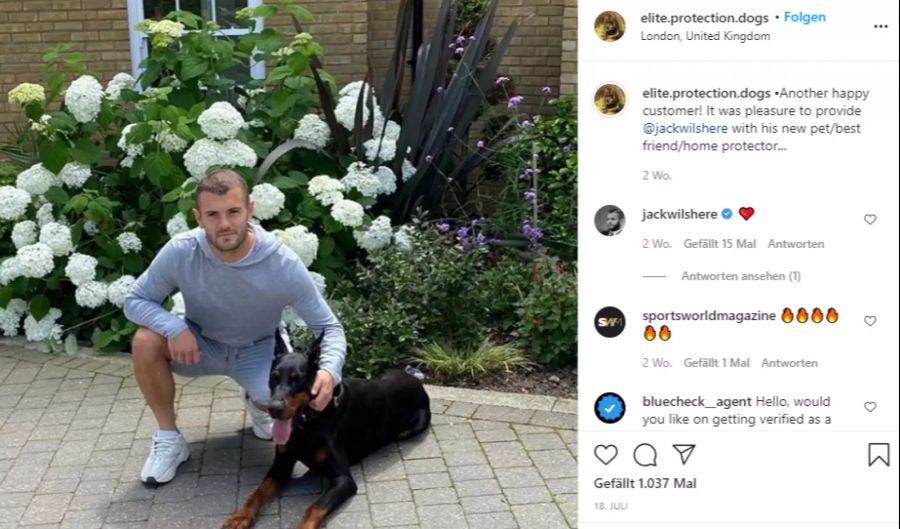 Ex-Arsenal-Spieler Jack Wilshere posiert mit seinem Wachhund.