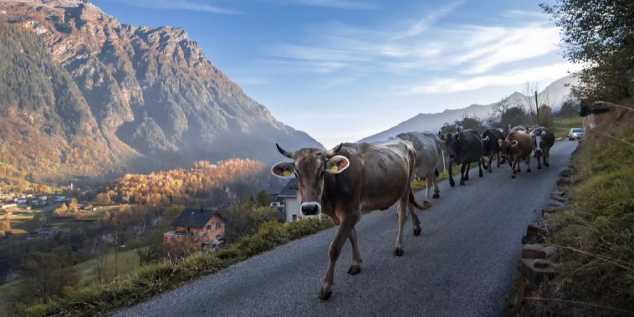 Schweizer Berghilfe Spenden Bauern