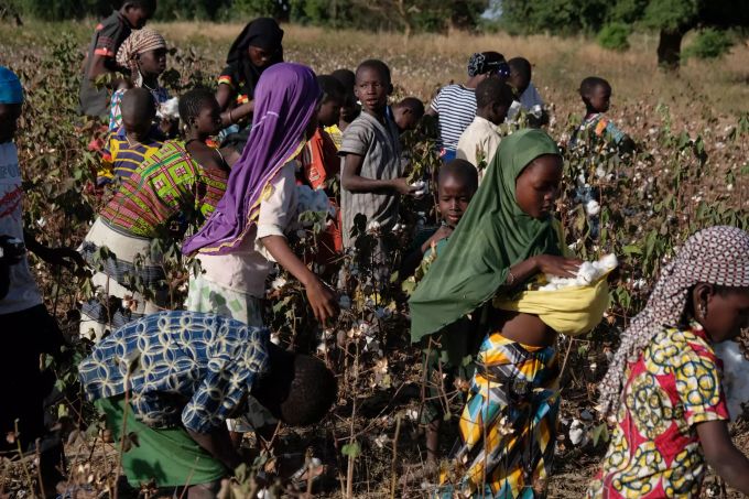 Ein Foto im Baumwoll-Bericht von Solidar Suisse. Laut dem Bericht arbeiten rund 250'000 Kinder auf Baumwollfeldern. Kinderarbeit Baumwollfelder Burkina Faso