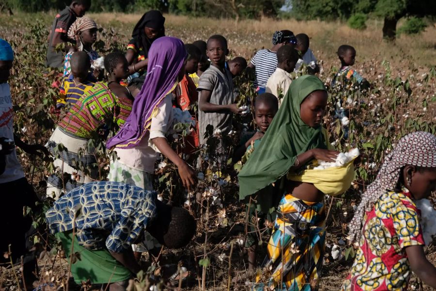 Kinderarbeit Baumwollfelder Burkina Faso