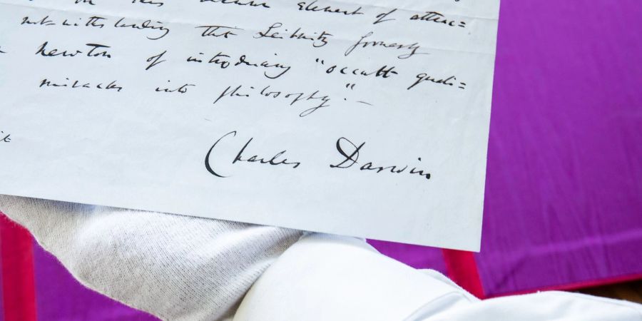 Eine beschriebene Seite mit einem Originaltext von Charles Darwin zur Entstehung der Arten. Das wertvolle Schriftstück, das auch Darwins Unterschrift trägt, soll bei Sotheby's versteigert werden.