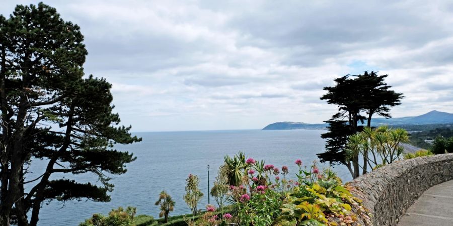 Promenade Aussicht Meer Bäume Blumen Steinmauer