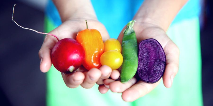 Gemüse hände bunt Regenbogen Farbe