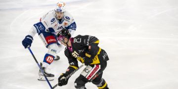 zsc lions