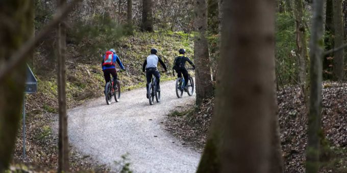 Fahrverbot aufgehoben - Freie Fahrt für Mountainbiker am Uetliberg