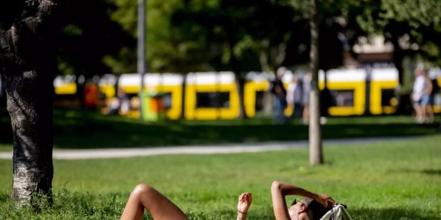 Eine Frau liegt im Berliner Monbijoupark in der Sonne. Foto: Christoph Soeder