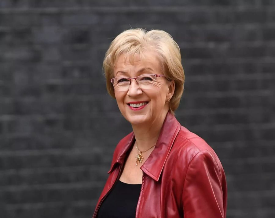 die frühere Ministerin für Parlamentsfragen Andrea Leadsom,