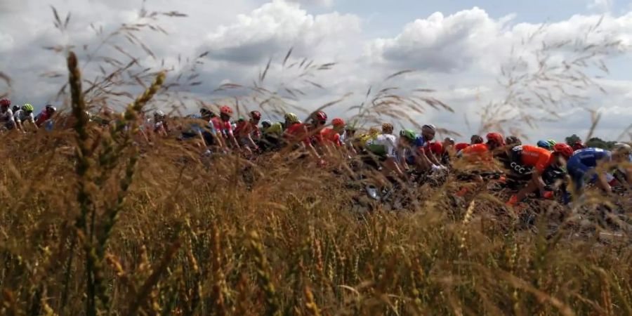 Bevor die Anstiege steiler werden, dürfen die Sprinter bei der 4. Etappe noch einmal auf ihre Chance hoffen. Foto: Thibault Camus/AP