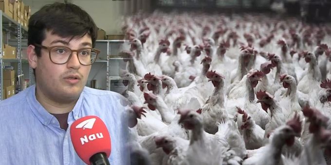 Quälerei Bauernhöfe - Tierschützer fordern Umverteilung Bundes-Gelder