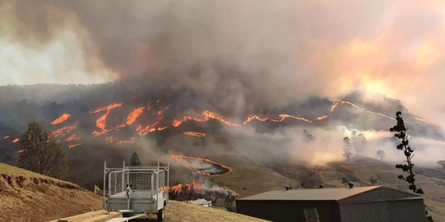 Qualmwolken eines Buschfeuers verdunkeln den Himmel über der Gold Coast. Foto: Aleksandar Romanov/AAP