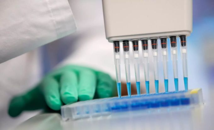 Durch die Forschung mit Lama-Antikörper hoffen Forscher aus Belgien auf eine vorbeugende Therapie gegen das Coronavirus. coronavirus lama