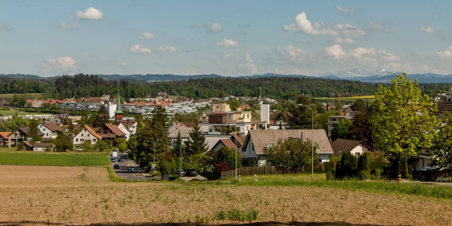 Aussicht über Dietlikon mit Bergpanorama.