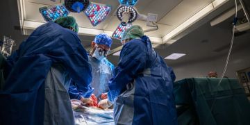 organspenden schweiz