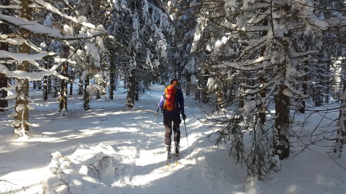 Skifahren, Langlaufen, Winterwandern - all das ist im Schwarzwald in der kalten Jahreszeit möglich. Schwarzwald, Deutschland, Winter