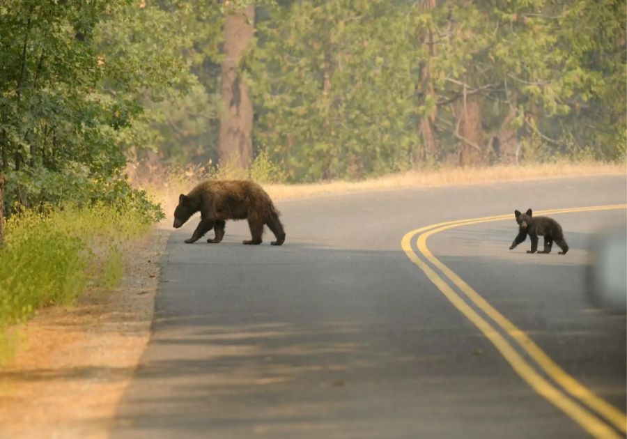 yosemite-nationalpark