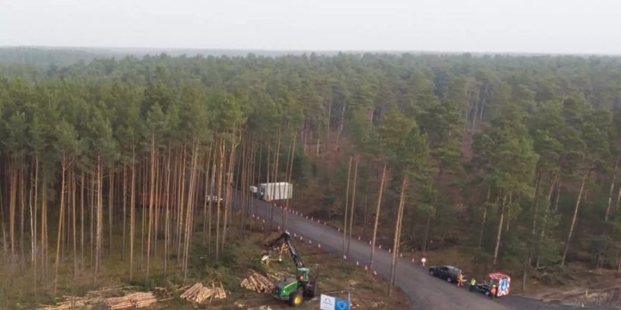 Mit einem Holzvollernter werden Bäume gefällt. Der US-Elektroautobauer Tesla lässt für sein neues Werk in Grünheide den Wald roden. Foto: Jörg Carstensen/dpa