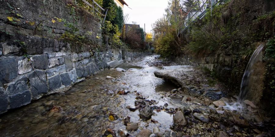 Brendenbach