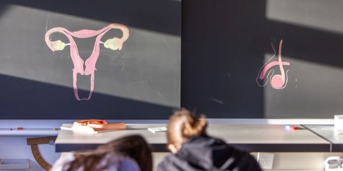 Bei den Brandstiftern könnte es sich um Gegner des verpflichtenden Sexualkundeunterrichts an belgischen Schulen handeln. (Symbolbild) Sexualkunde Schule Klassenzimmer Tafel
