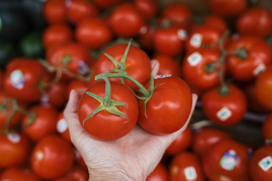 Tomate Donald Trump