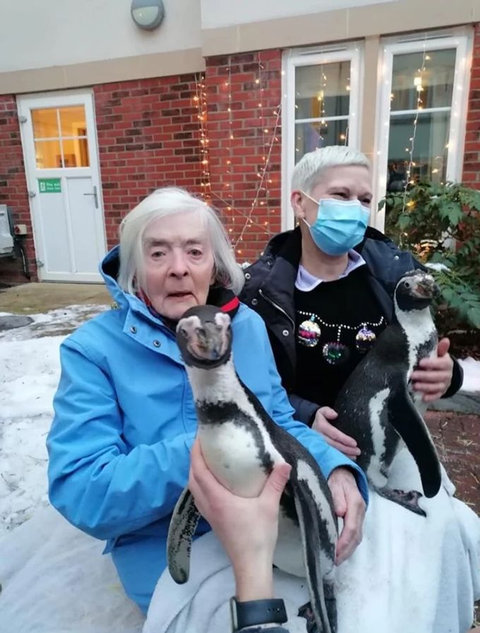 Die Pinguine waren sehr zutraulich und liessen sich streicheln. Essex