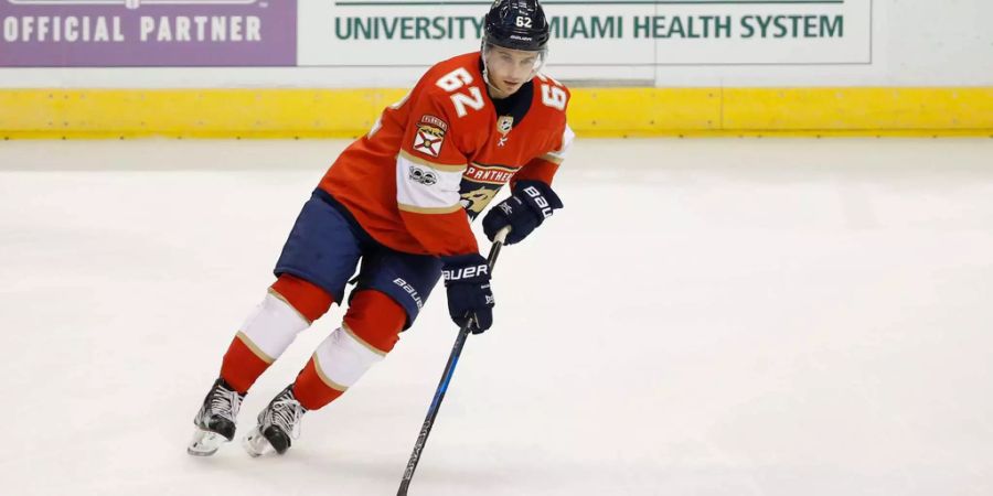 Denis Malgin verbucht einen Assist, verliert aber mit den Florida Panthers gegen die Vegas Golden Knights.