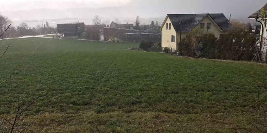 In Biel-Benken BL rast ein  Auto führerlos über 300 Meter querfeldein.