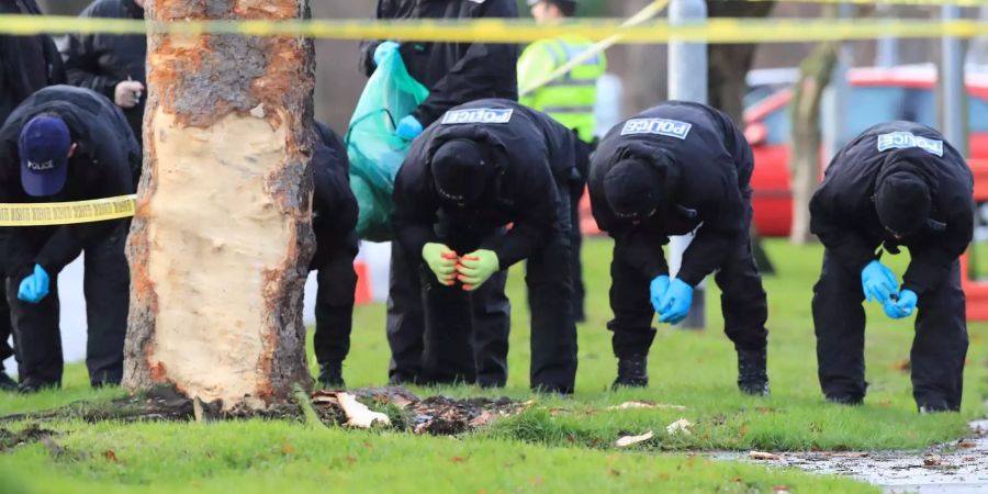 In diesen Baum ist der 15-Jährige mit dem Auto gerast.