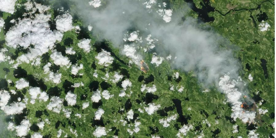 Wegen der ungewöhnlich hohen Hitze in Schweden brennen die Wälder. Die grössten, die man auf dem Weltraumbild erkennt, sind nicht zu löschen.