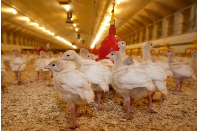 Die Initiative richtet sich auch gegen die Tendenz immer grösser werdender Betriebe. Die Initiative richtet sich auch gegen die Tendenz immer grösser werdender Betriebe.