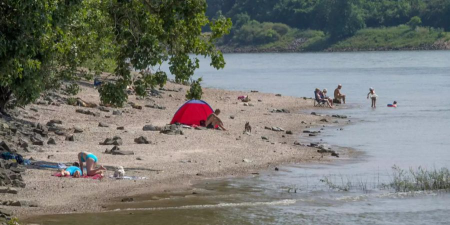 Familien entspannen sich am Uferstrand des Rhein.