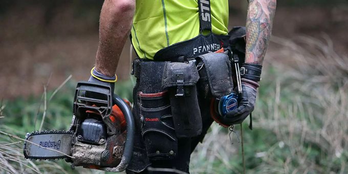 Gossau - 7000 gesunde Bäume sollen einer Deponie weichen
