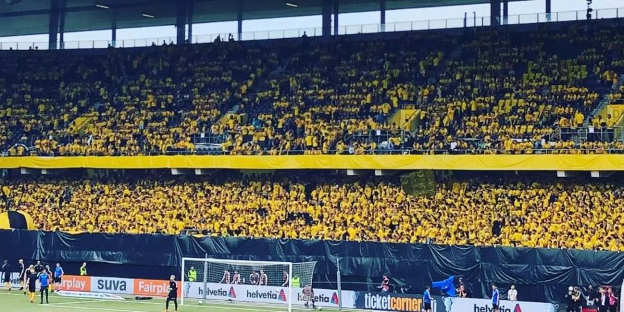 YB-Fans warten auf den Anpfiff des Cupfinals.