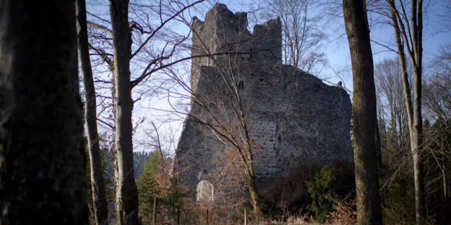 Die Ruine Ramschwag unweit von Häggenschwil SG.