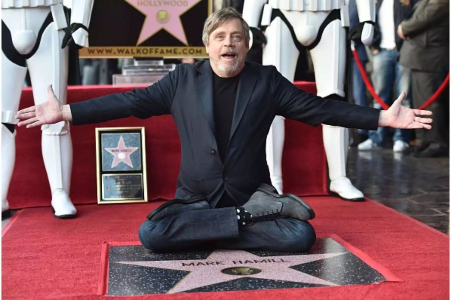 Schauspieler Mark Hamill freut sich über seinen Stern in Hollywood.