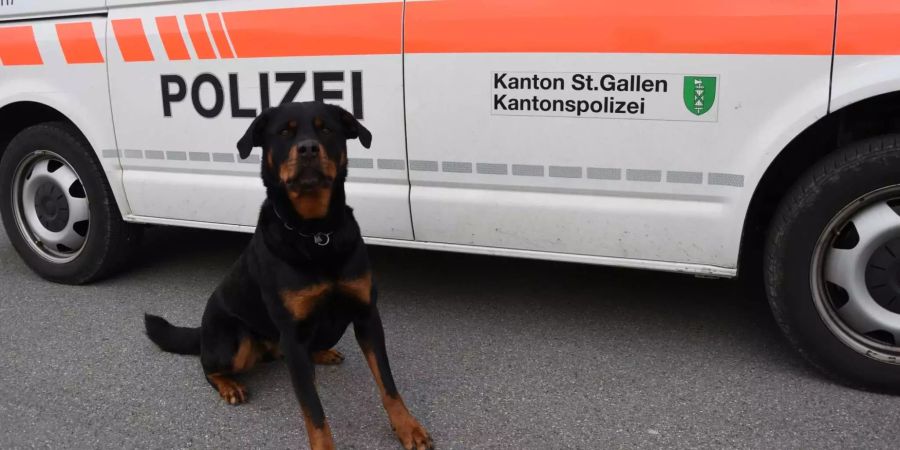 Polizeihund, Rottweilerhündin Yodi